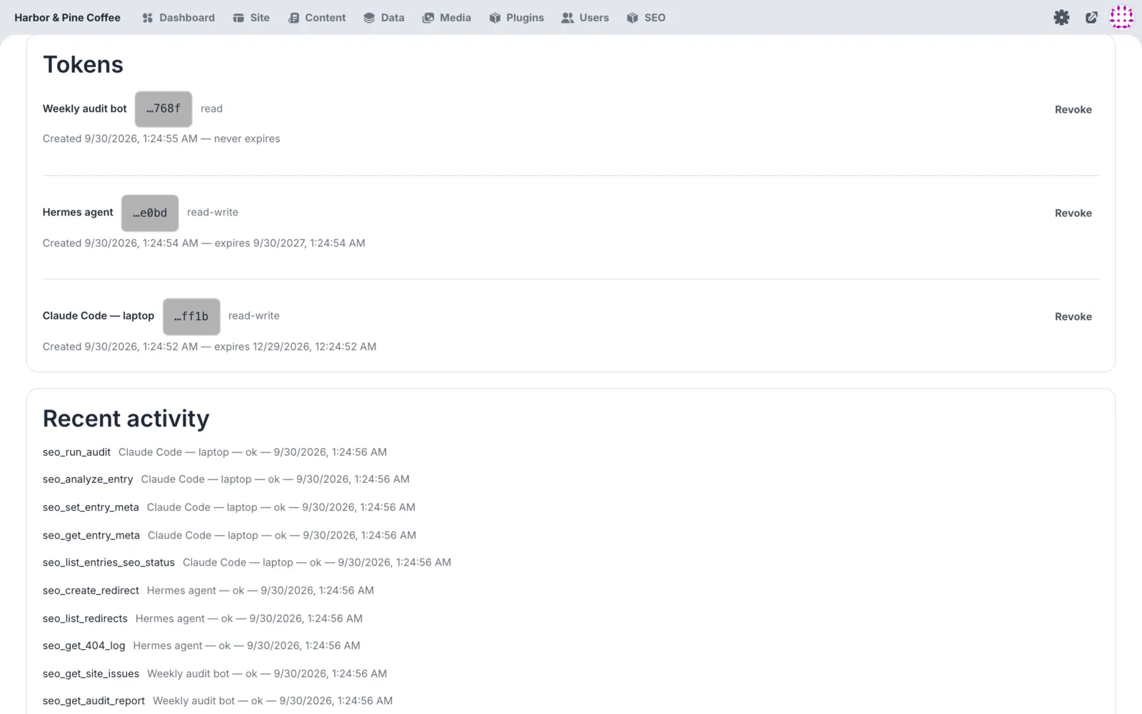 Connections screen listing MCP access tokens and recent agent tool calls