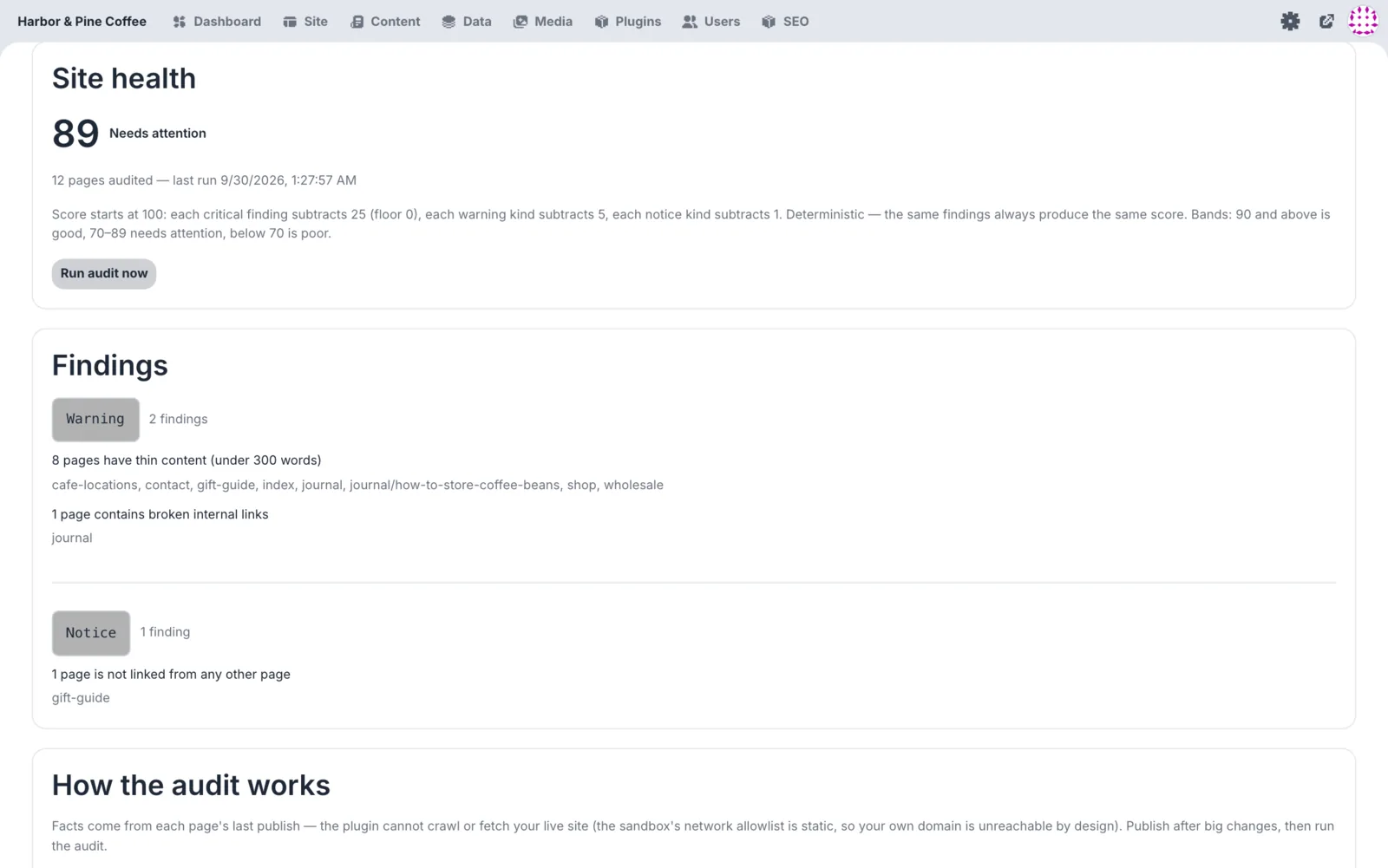 Site audit with a site health score of 89 and a list of findings